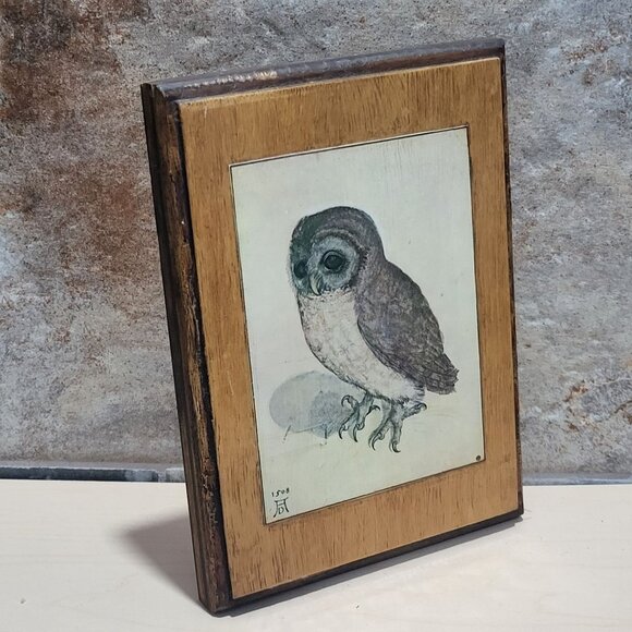 Vintage Framed Print The Little Owl Albrecht Durer - Picture 7 of 10